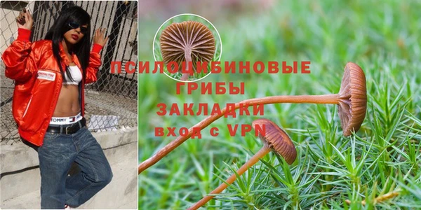 марки nbome Магадан